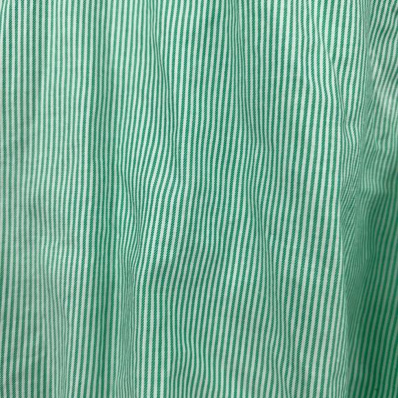 Everlane The Silky Cotton Relaxed Button Down Long Sleeve Shirt Green Striped 10 - Picture 7 of 8